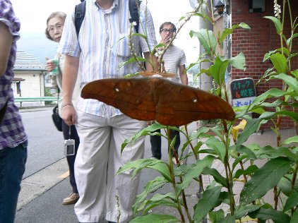 2007/8【レトロ町おこし】青梅妖怪ツアーふたたび【山口さんツアー】_b0116271_21434254.jpg