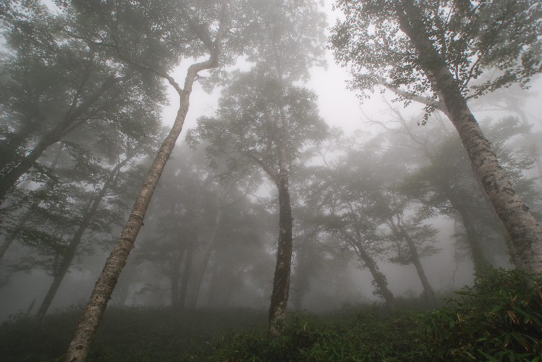 雲中笹森_d0085096_21462799.jpg