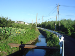 c0052304_8302753.jpg