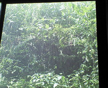 e0001406_2215474.jpg