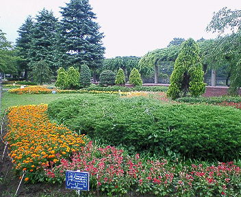 f0006509_22163.jpg