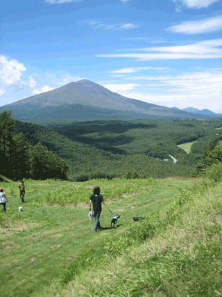 夏の軽井沢で　後編_e0080117_10103066.gif