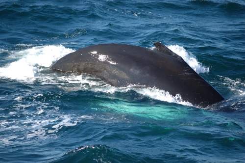 f0115921_14555445.jpg