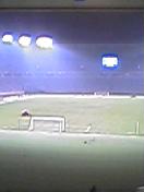 c0039323_1447579.jpg
