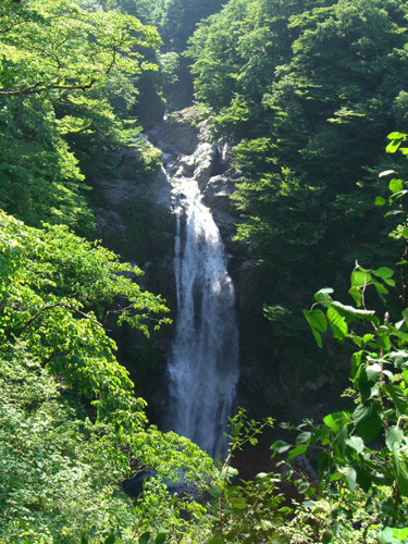 f0137626_20245665.jpg