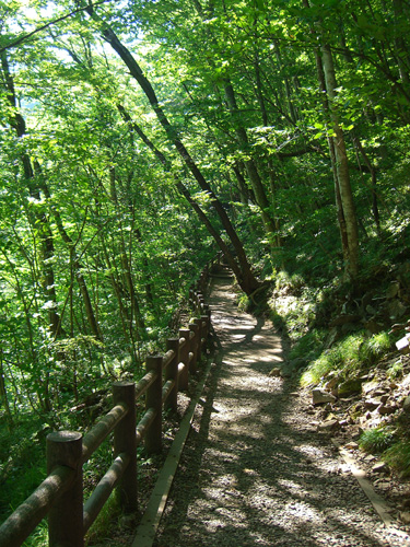 f0137626_20301655.jpg