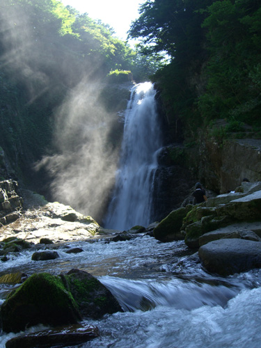 f0137626_2036920.jpg