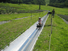 b0080033_23535222.gif