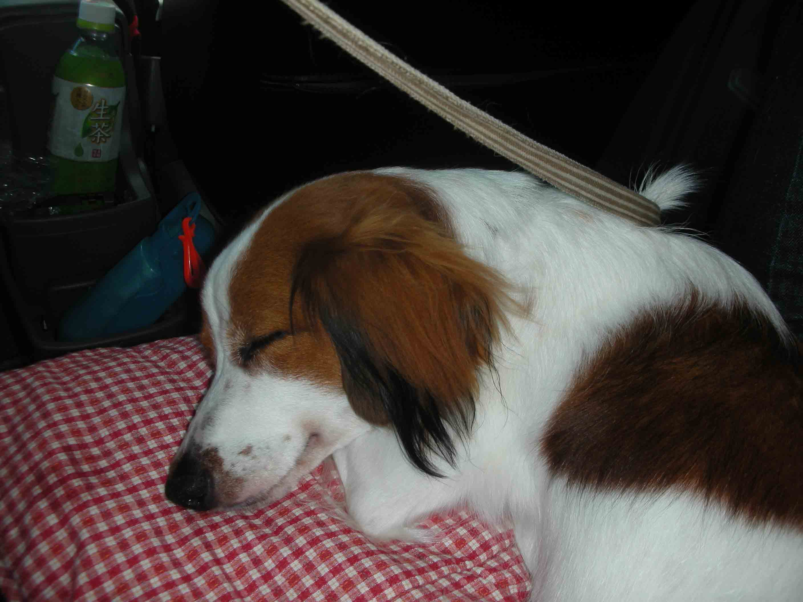 c0134833_13061.jpg