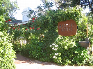 a0040554_16263.jpg