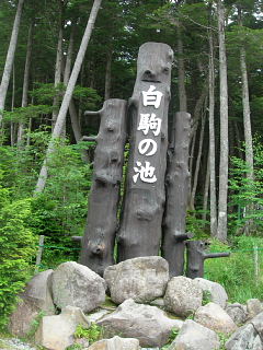 蓼科で夏期休暇_e0109554_22332447.jpg