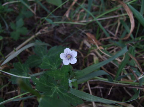 e0088260_23195611.jpg