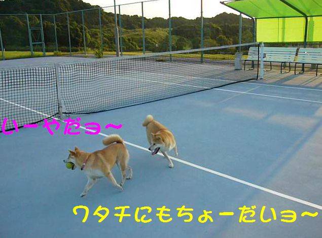 2007年8月19日・・・愛ちゃんは見たー!!_f0060461_10474725.jpg