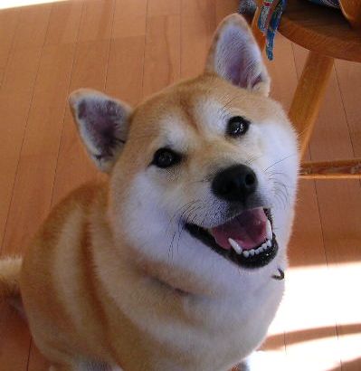 2007年8月19日・・・愛ちゃんは見たー!!_f0060461_11283819.jpg