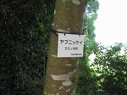e0041168_93297.jpg