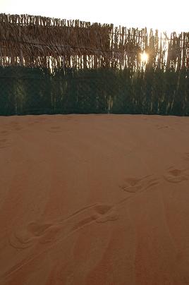 e0066474_3502859.jpg