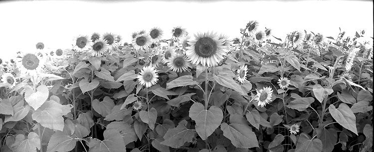 c0135079_19165721.jpg