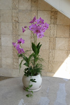 c0100388_14391840.jpg