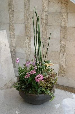 c0100388_14404714.jpg