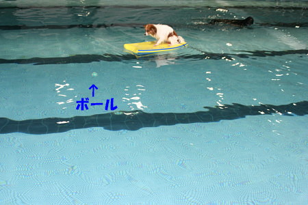 c0044199_1256014.jpg