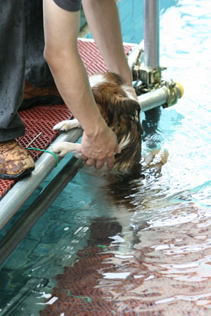 c0044199_13155477.jpg