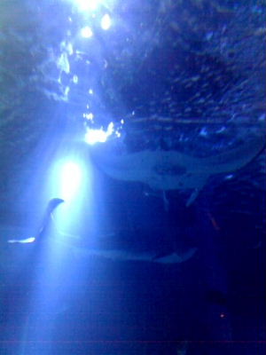 f0060099_20242078.jpg