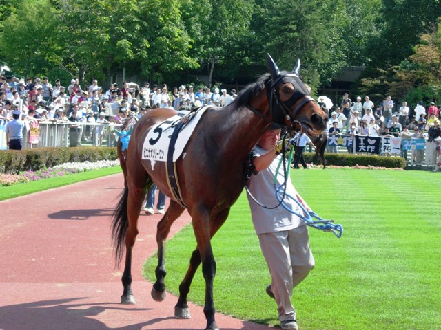 e0088402_1850659.jpg