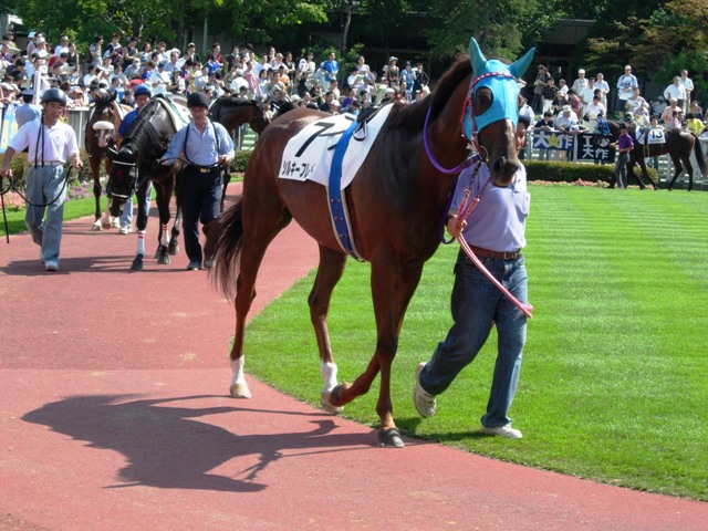 e0088402_1853873.jpg