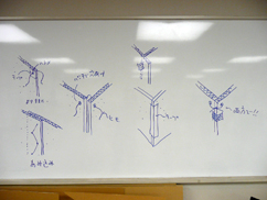 オゾン　　親子で考える家の学校２００７　「気持ちのいい家」無事終了_b0014003_1654154.jpg