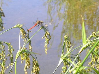 e0016412_09624.jpg