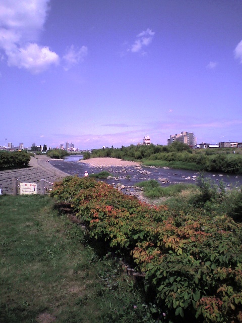 c0129317_2213522.jpg