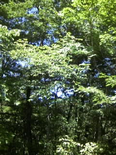b0102023_14401792.jpg