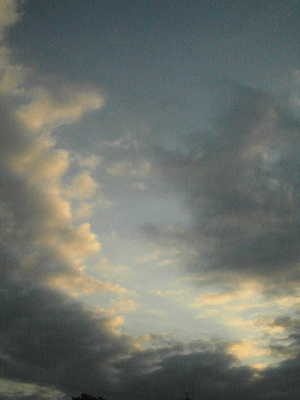 朝空8/18_d0002224_739049.gif