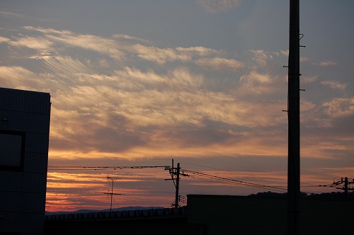 b0097729_2158495.jpg