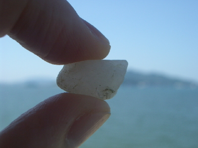 d0098941_168794.jpg
