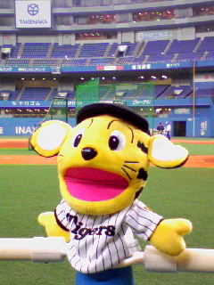 e0023845_2331593.jpg