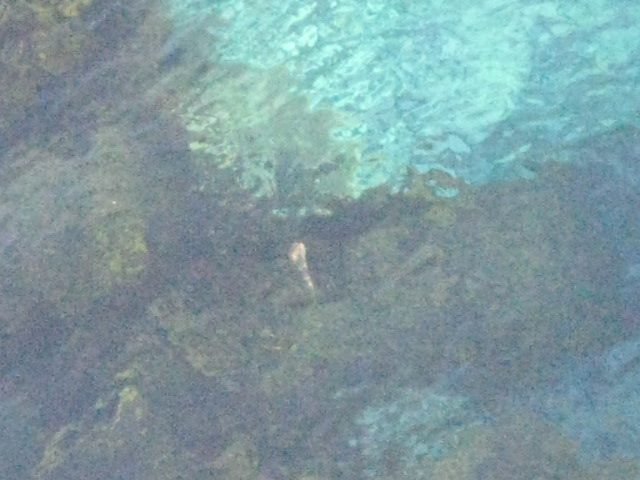 f0136850_1214516.jpg