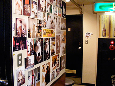 渋谷中央街「つくしんぼ」での2回目の展示延長決定!_a0028451_20151425.jpg