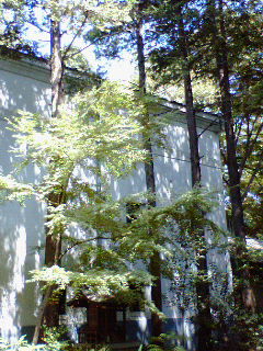 c0060659_813145.jpg