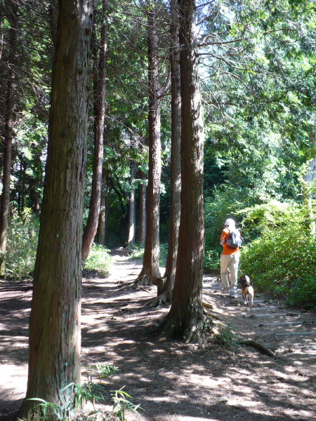 a0063364_03196.jpg