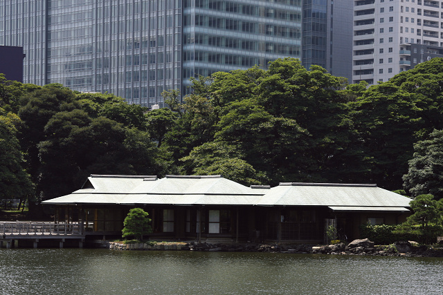 浜離宮恩賜庭園（８月２０日）_c0057265_1916329.jpg