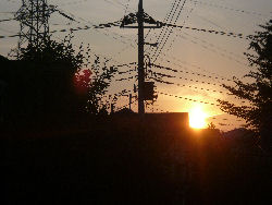 e0099375_2004684.jpg