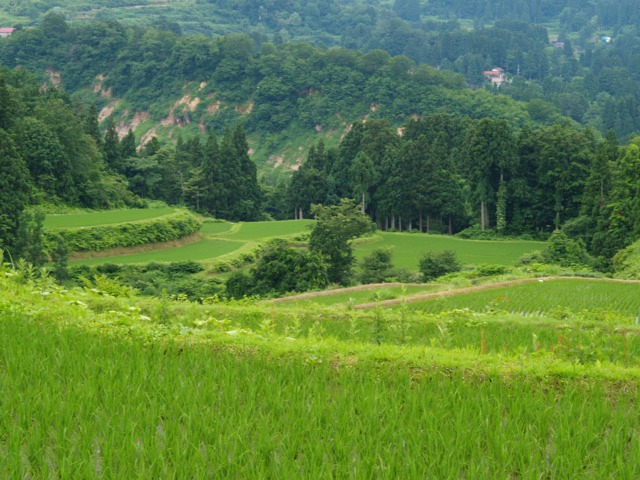 a0025576_22471323.jpg