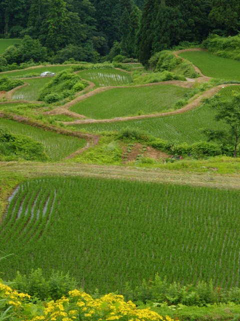 a0025576_22474850.jpg