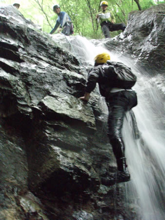 d0079579_1032087.jpg