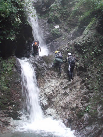 d0079579_9365373.jpg
