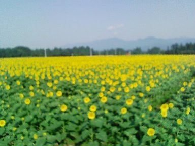 今日から通常営業です!_a0045293_9532025.jpg