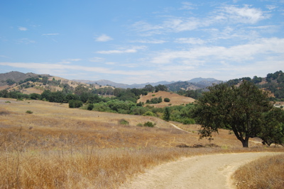 b0066900_1695586.jpg