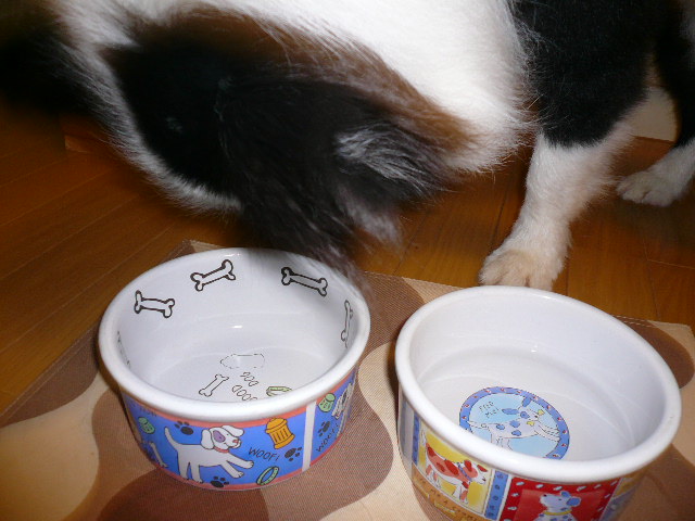 e0028401_22333677.jpg
