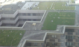 a0000002_2224312.jpg